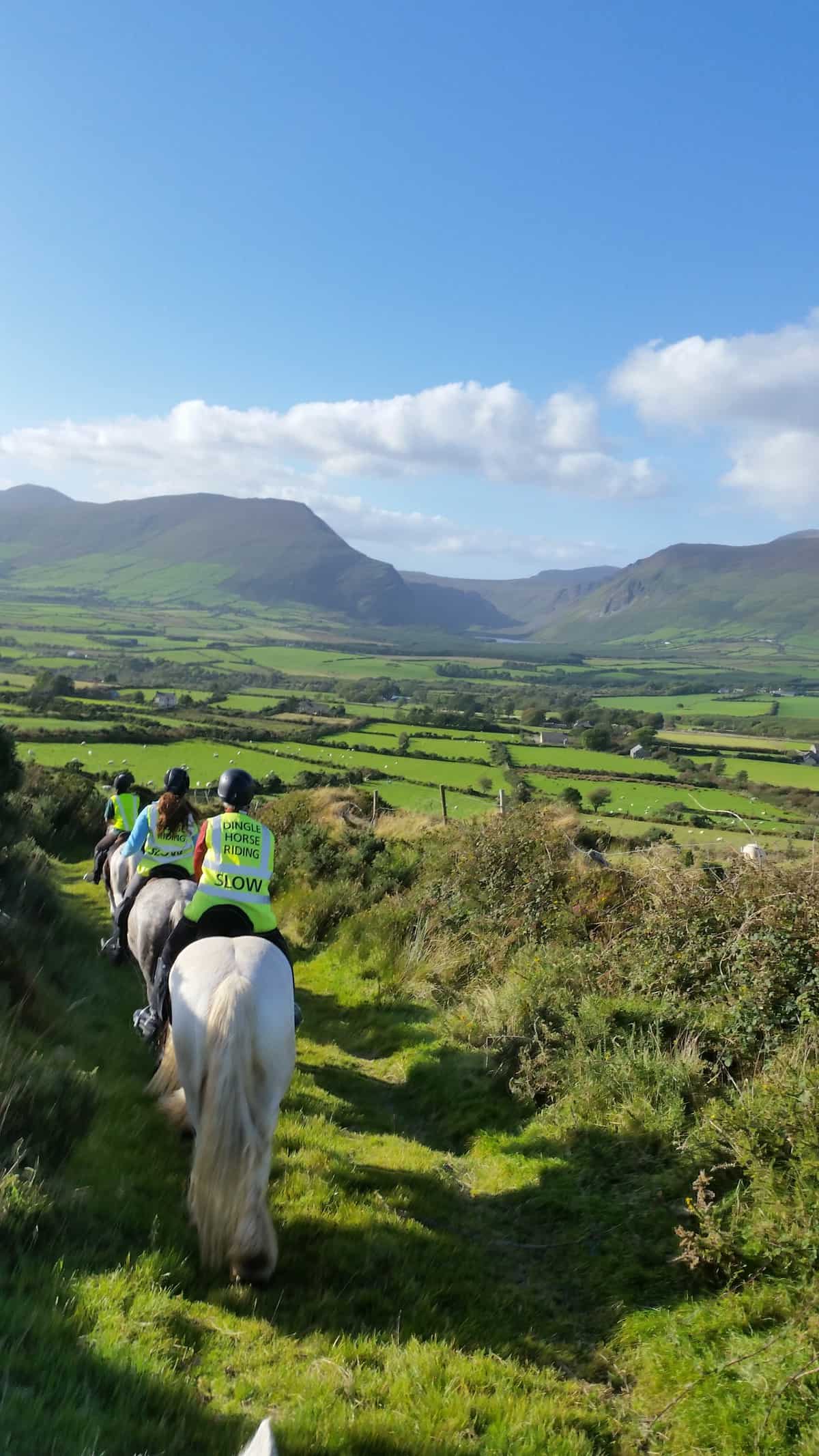 Horse Riding Treks On The Dingle Peninsula Kerry Ireland