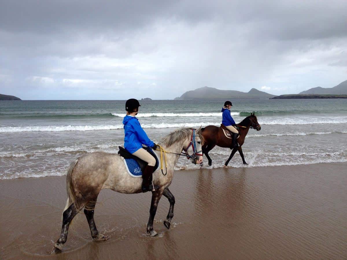 Horse Riding Treks On The Dingle Peninsula Kerry Ireland